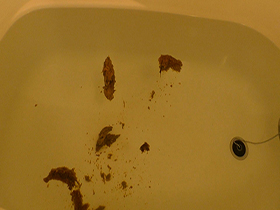 美々はいつもウンコがしたい　サンプル画像02